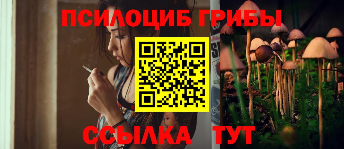 Галлюциногенные грибы Psilocybine cubensis Абинск