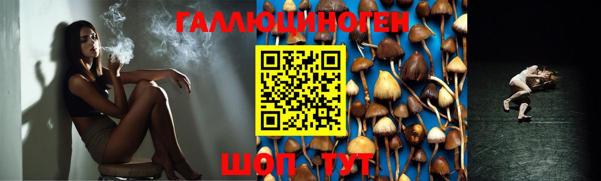 Псилоцибиновые грибы ЛСД  Галлюциногенные грибы Cubensis  Абинск  Вход с VPN 